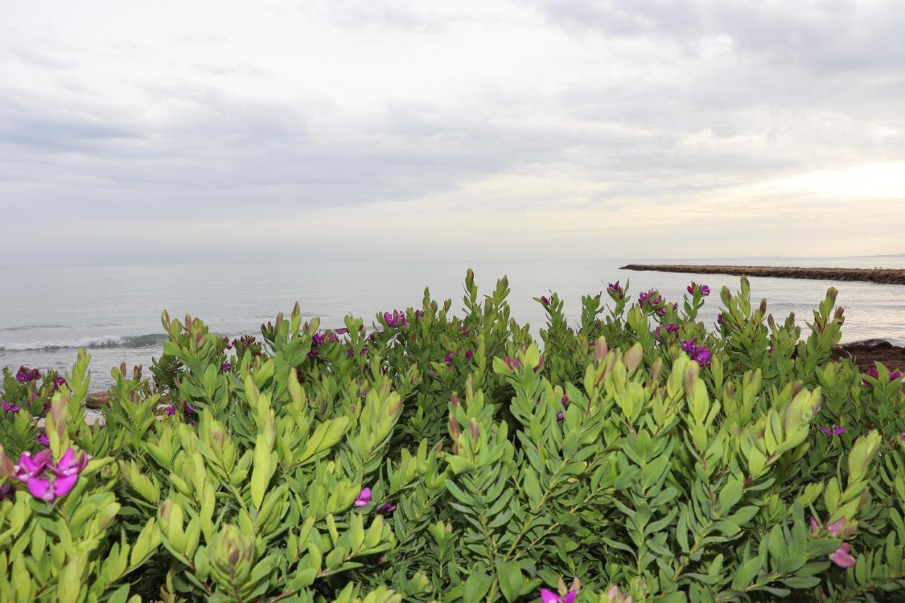 Carmen Apartments With Sea View Near Alicante Santa Pola Exterior foto